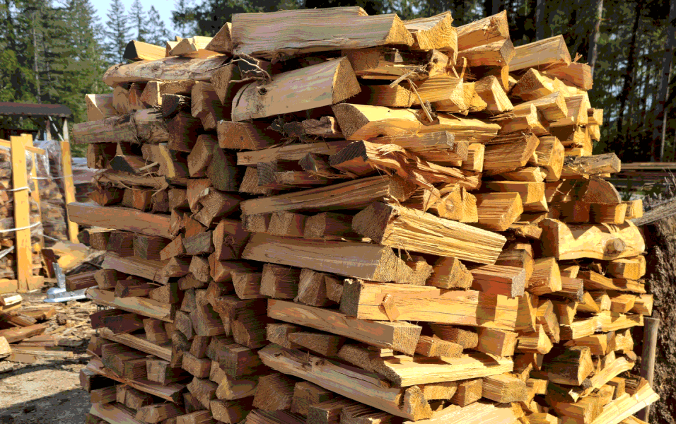 Dry Fir Firewood