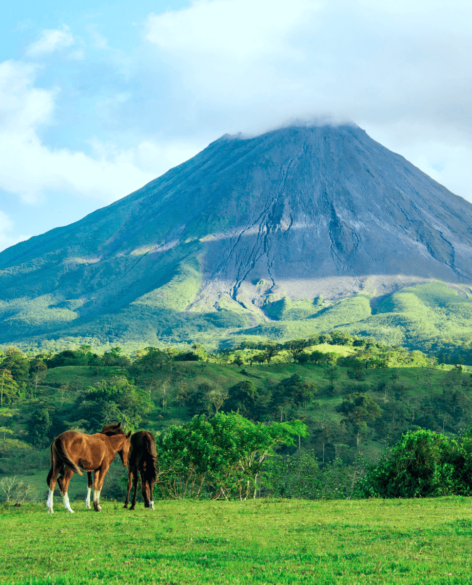 лошади в горах с видом на вулкан