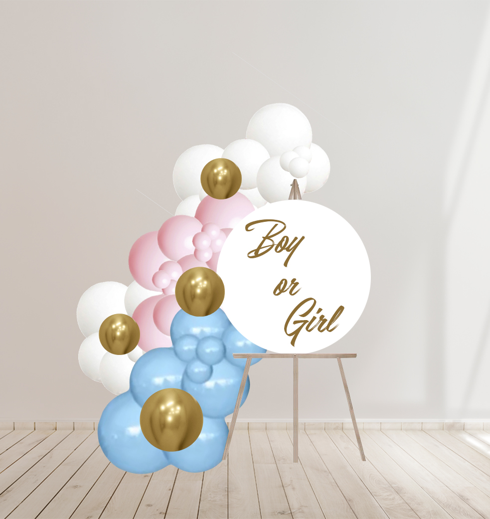 Гендер паті