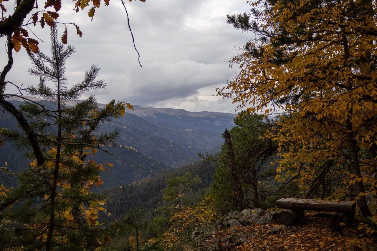 An autumn forest and a view of the Abastumani Mountains
