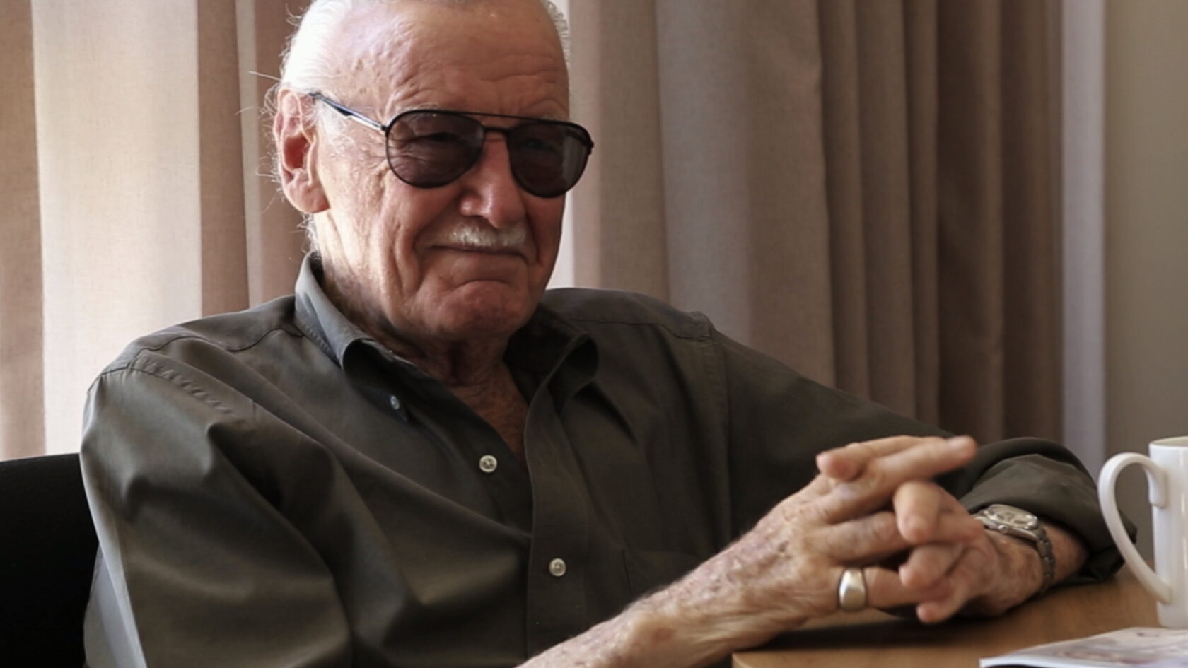 Stan Lee: The Final Chapter documentary