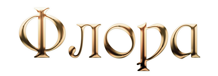 Company name