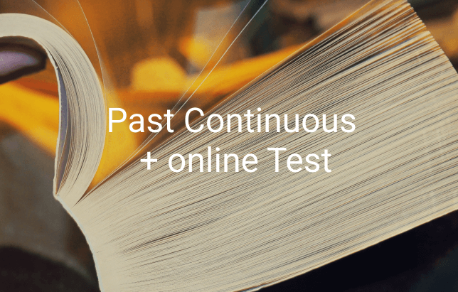  Past Simple  Past Continuous -  