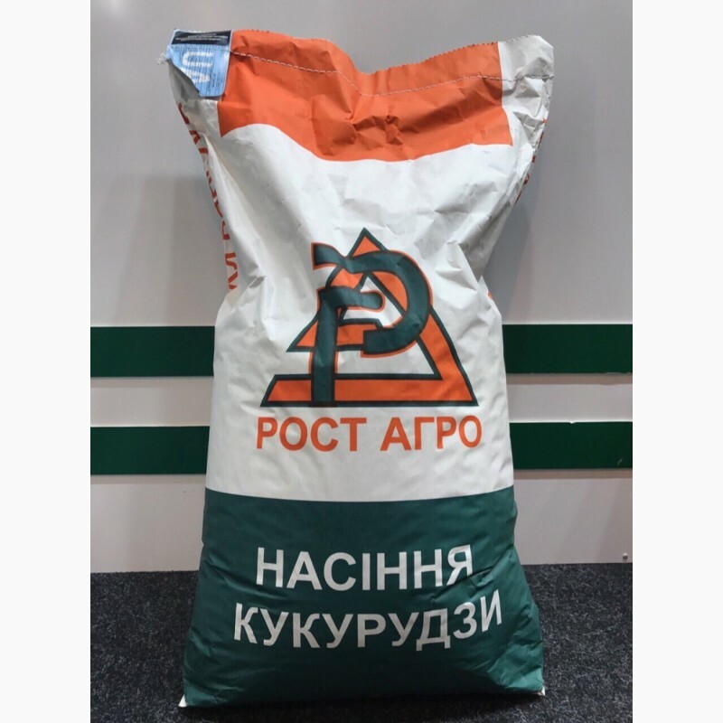 Насіння кукурудзи ДН Галатея