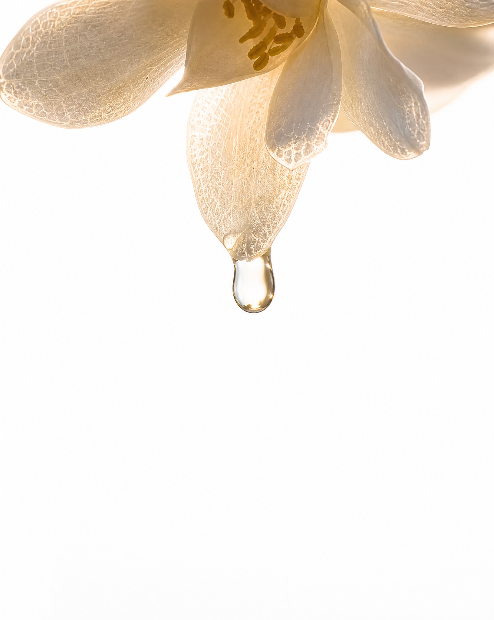 Neroli