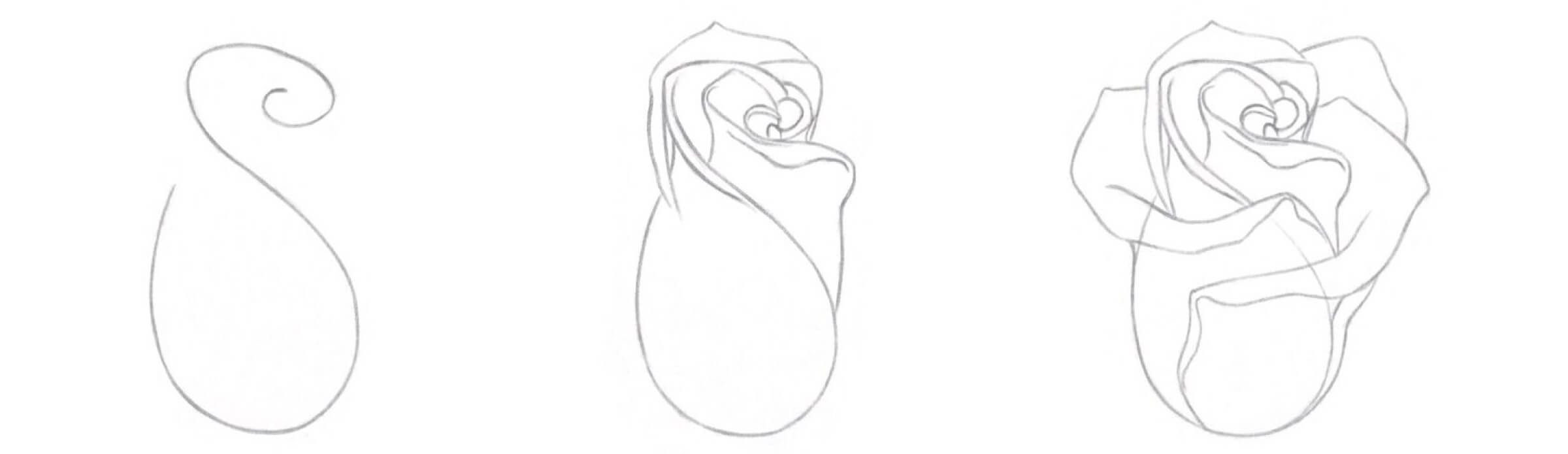 троянда малюнок