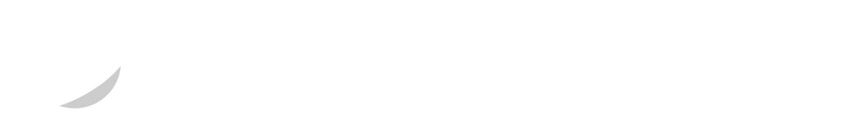  Вайлант-Сервис 