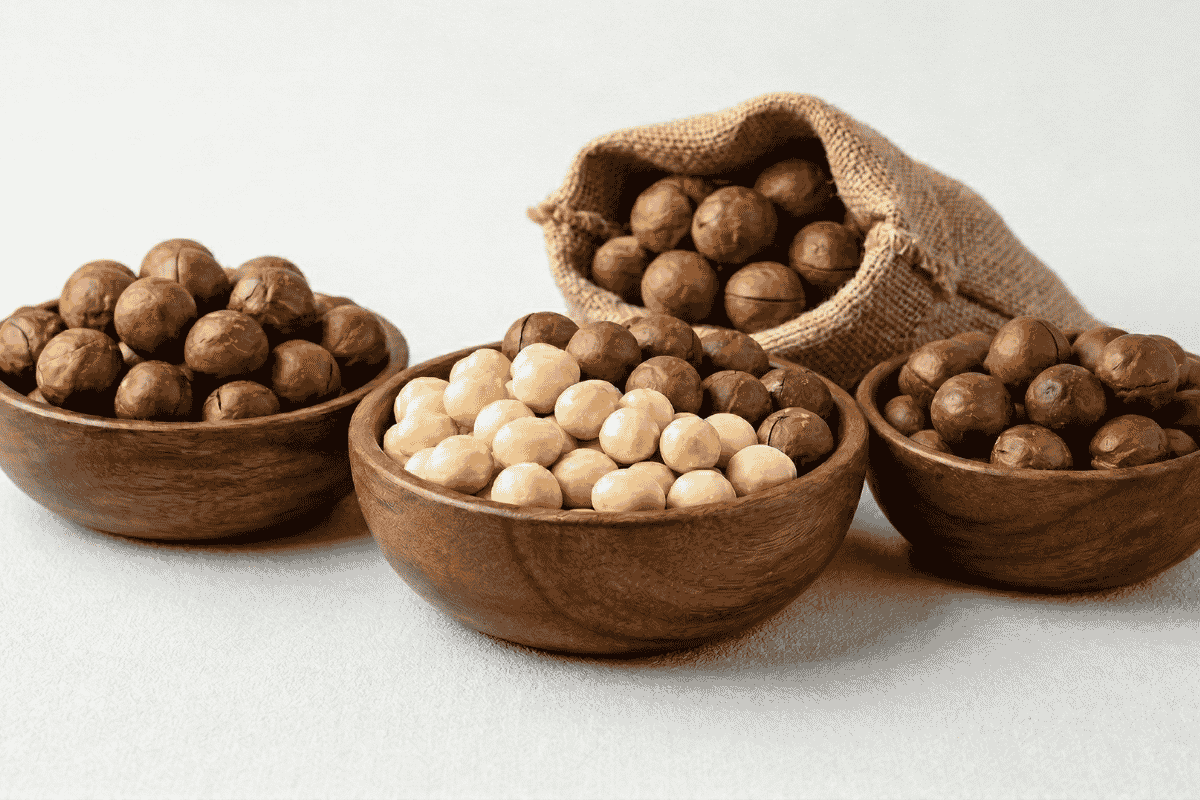 Vietnam macadamia nuts for B2B export