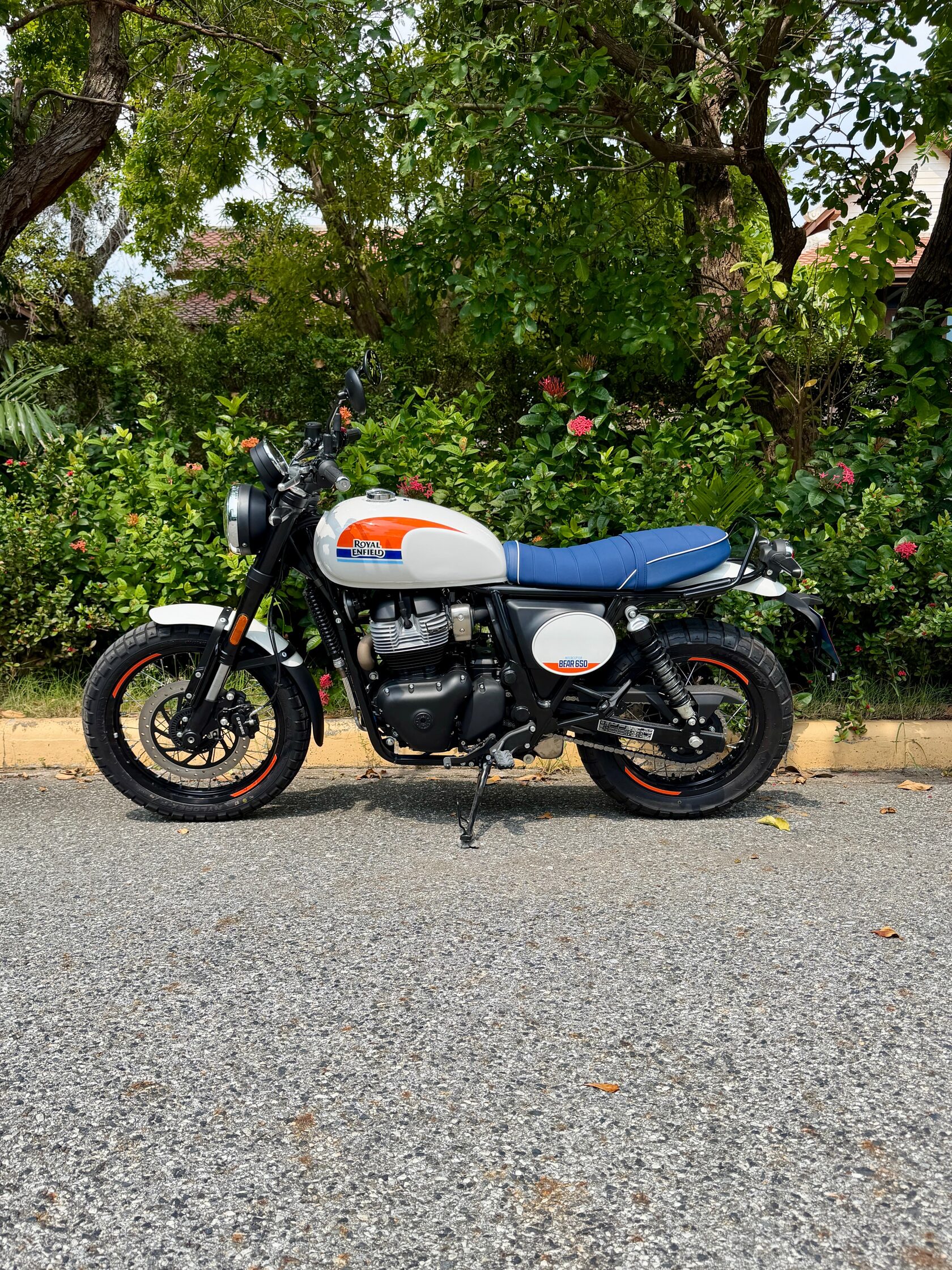 Royal Enfield Bear 650 scrambler profile