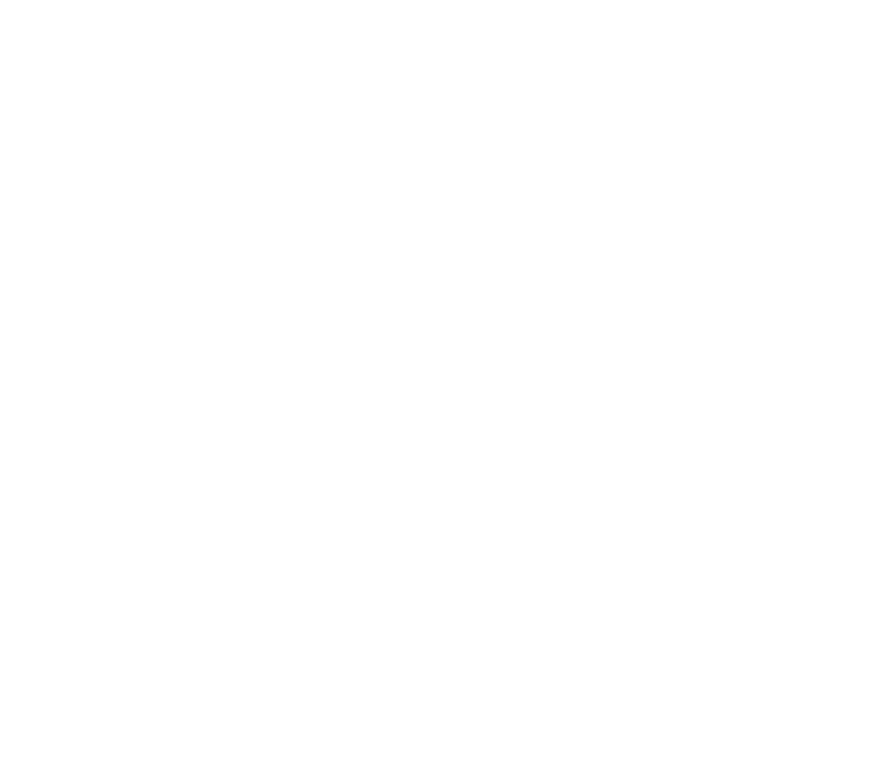  AWP CUSTOMS SOLUTIONS 