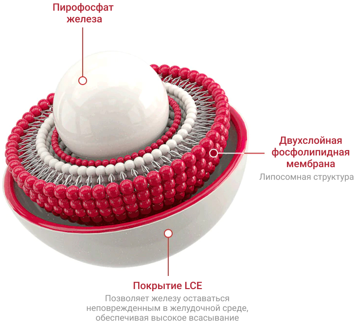 ferosom forte LCE Coat