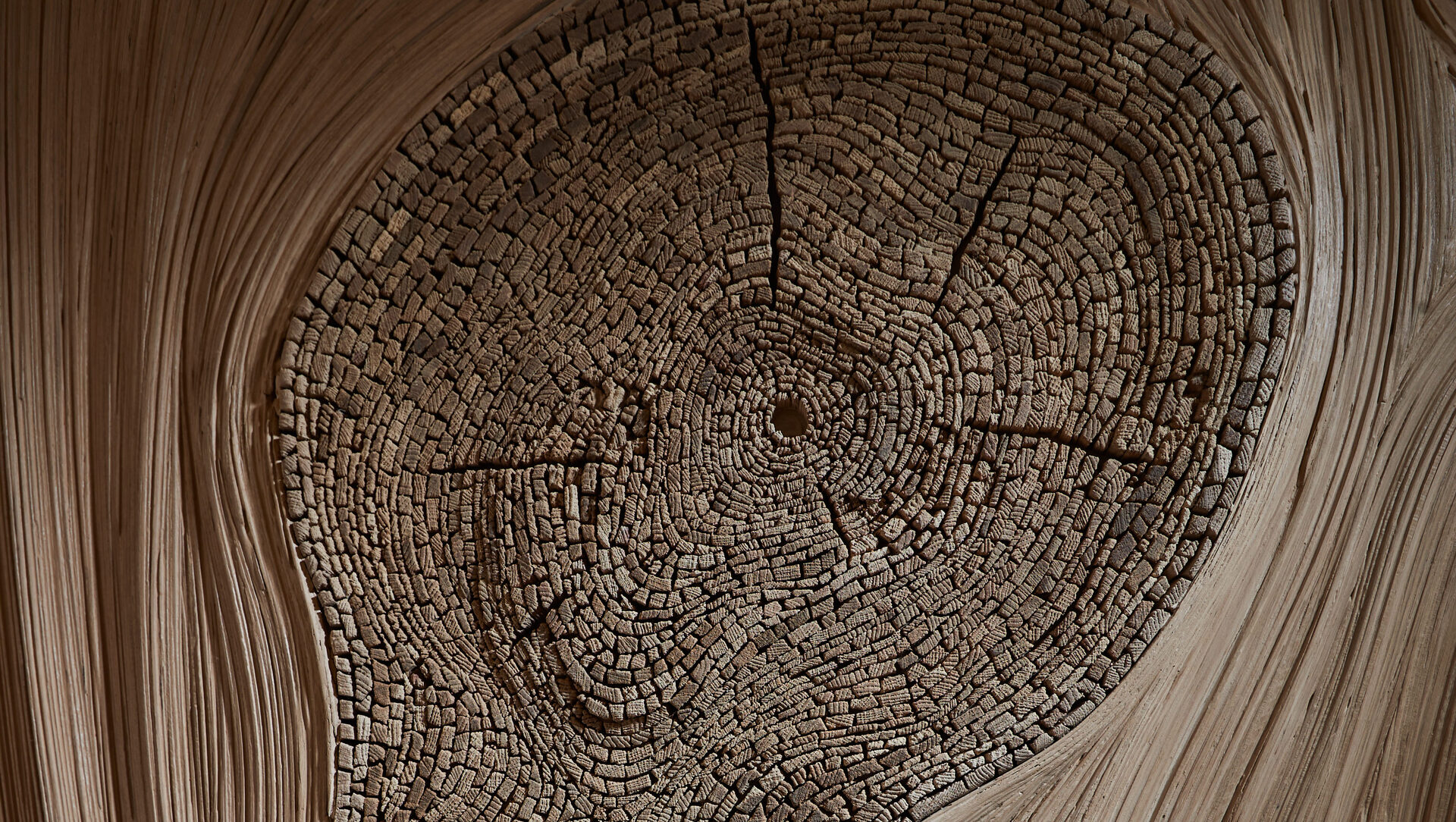 Wood Wall Decor by Tor Design - Nature Influence work: Rays of the three