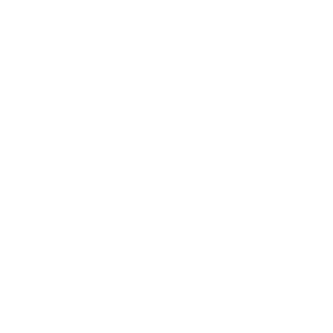 website icon