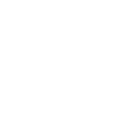 Icon 13