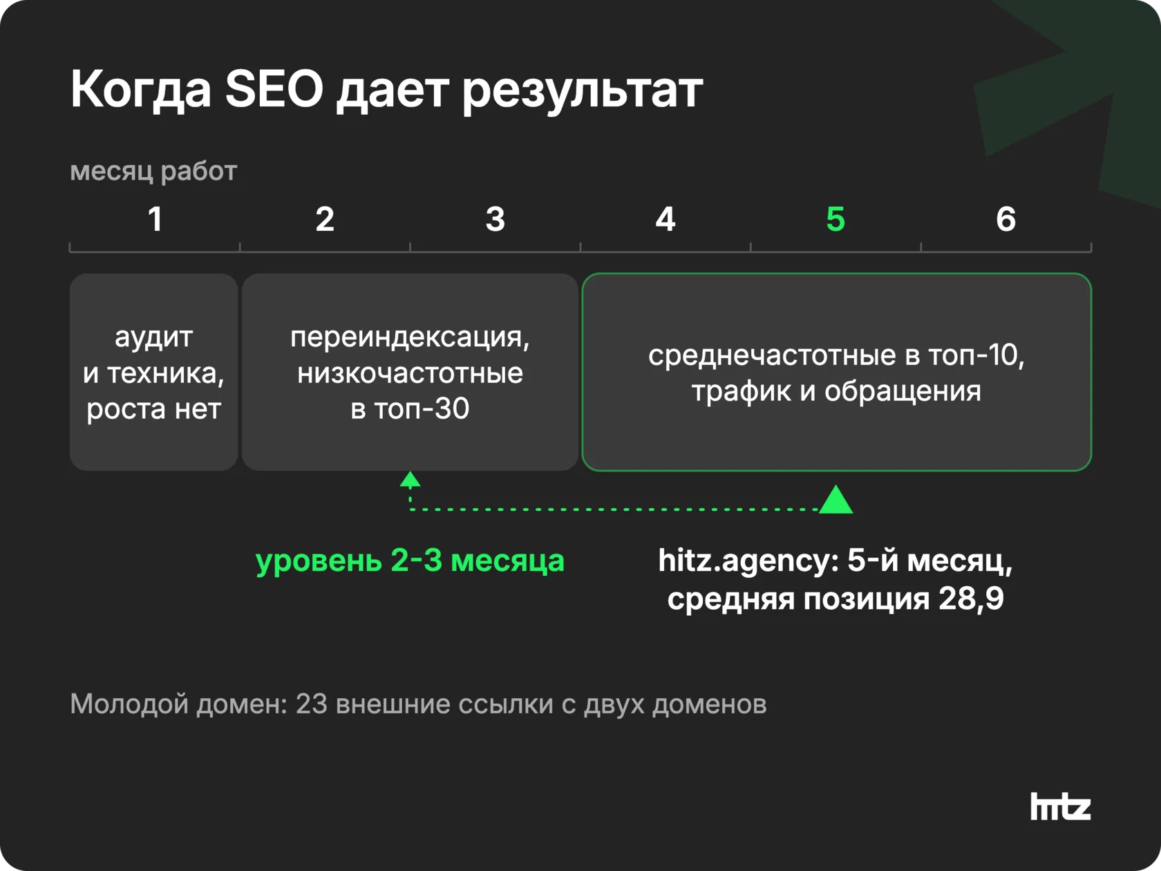 Шкала шести месяцев SEO-проекта по фазам и отметка hitz.agency: пятый месяц, средняя позиция 28,9