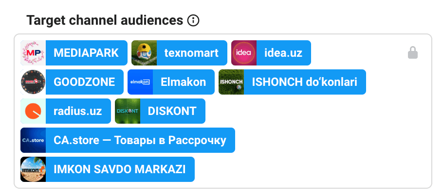 Поле Target channel audiences со списком добавленных товарных каналов
