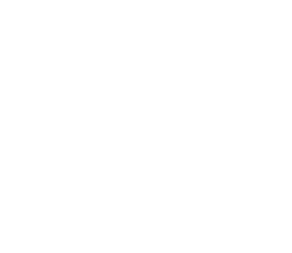  VE 