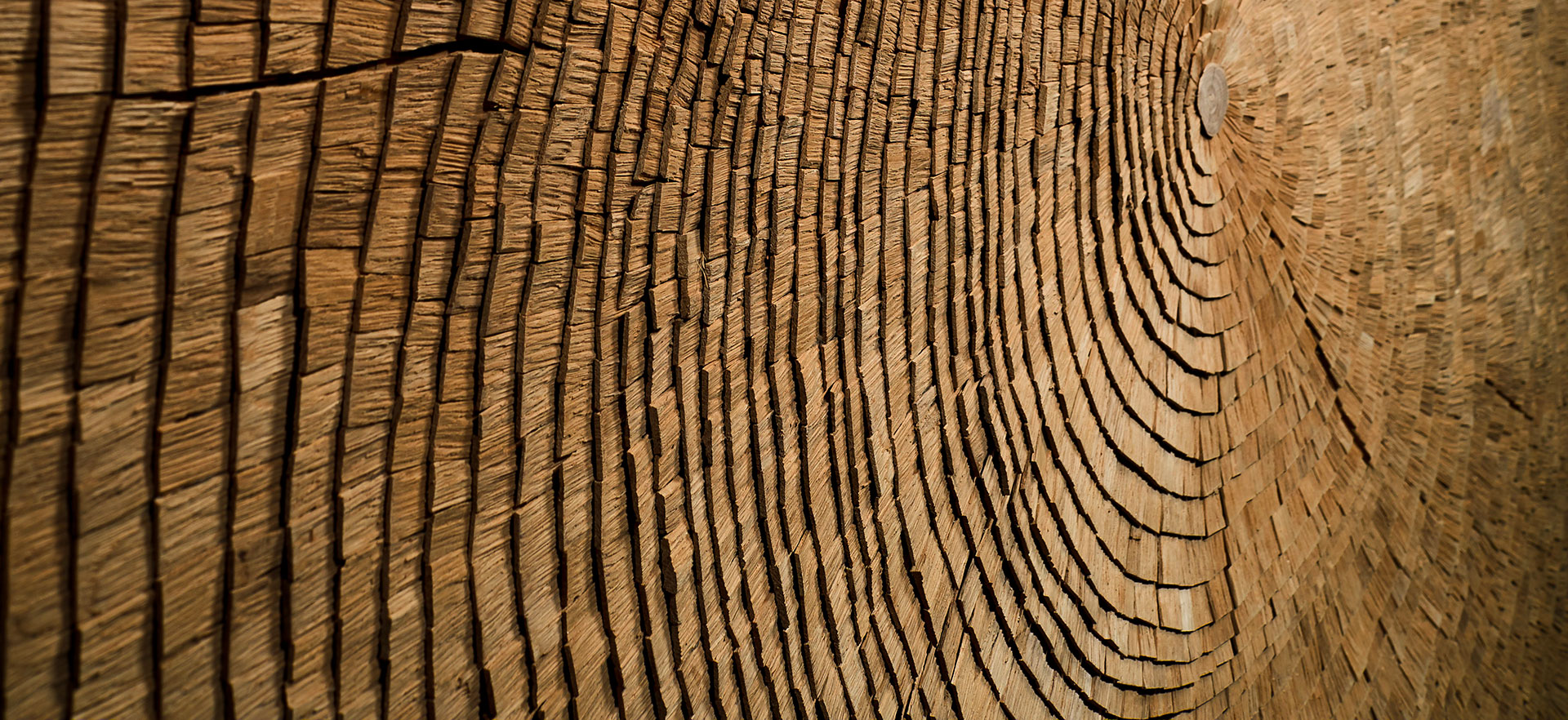 Wooden Creations Rays of the tree by Tor Design