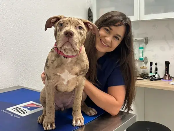 VÉTÉRINAIRE À GENÈVE