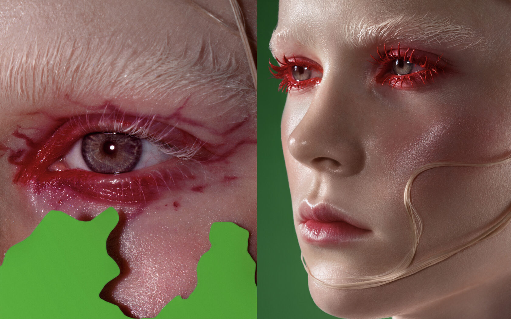 Editorial and Beauty
