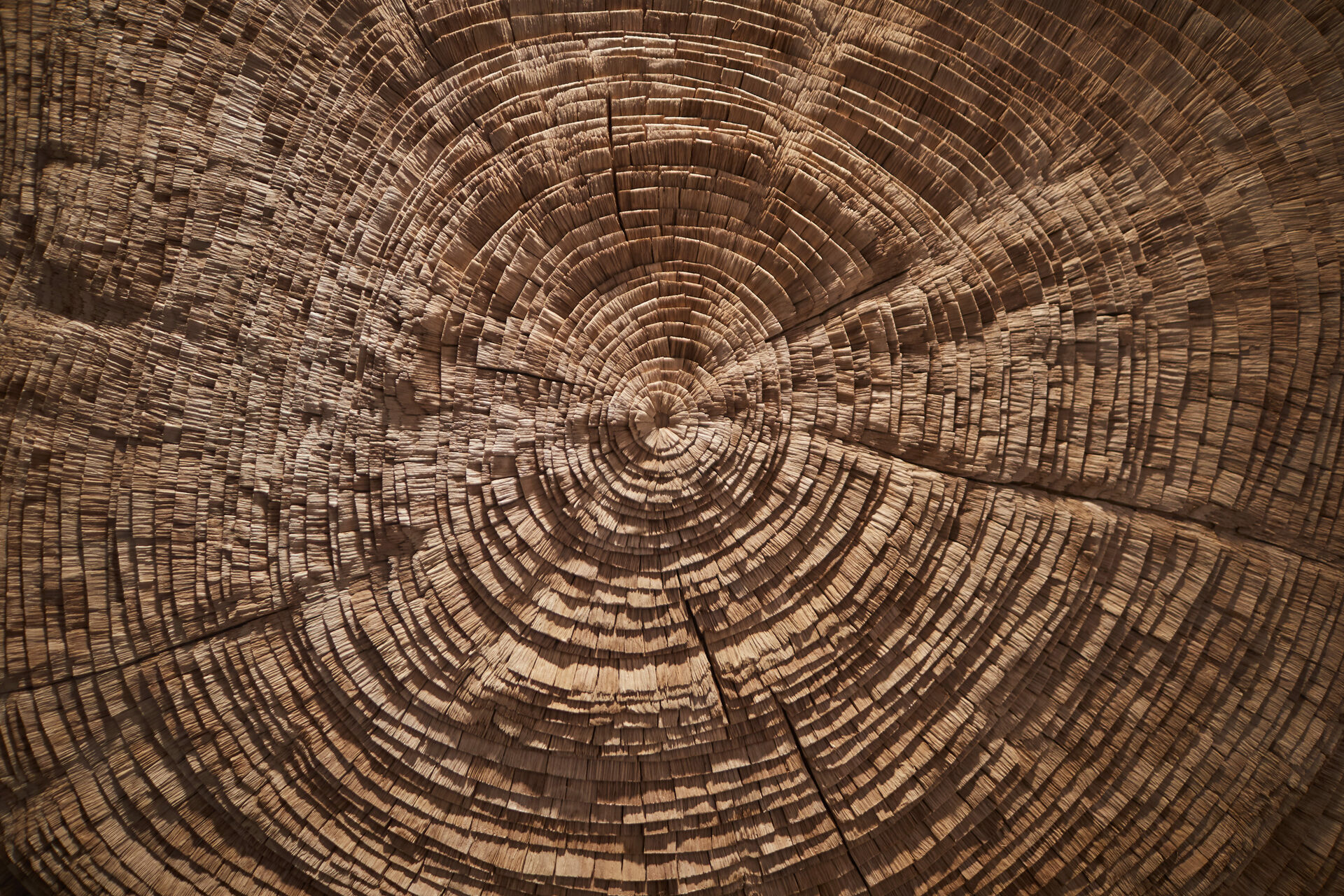 Wood Wall Decor In the Stream of the Tree Project Wall Art by Tor Design