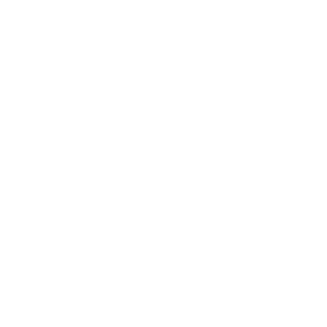website icon