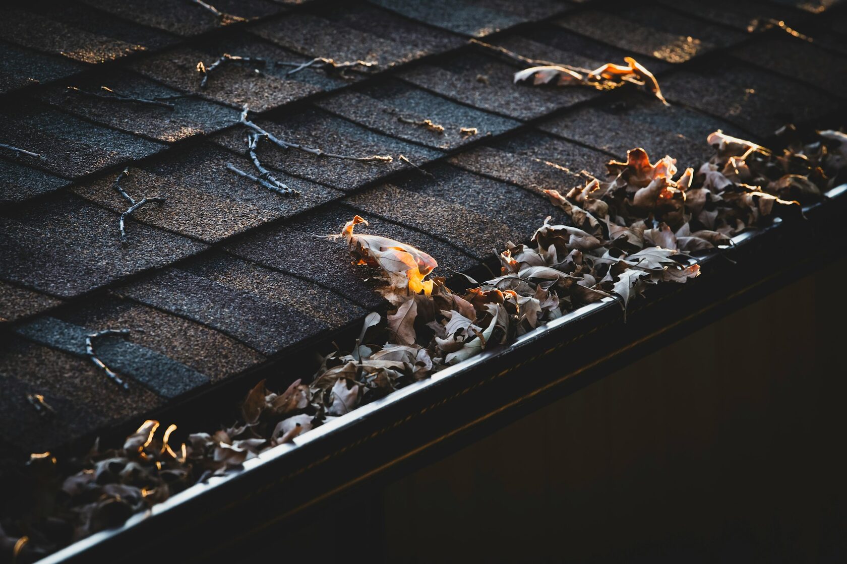 Gutter Cleaning