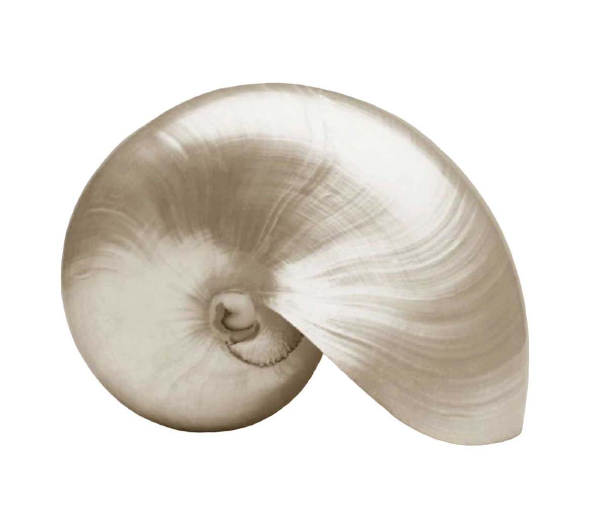 Pearl Naked Bali