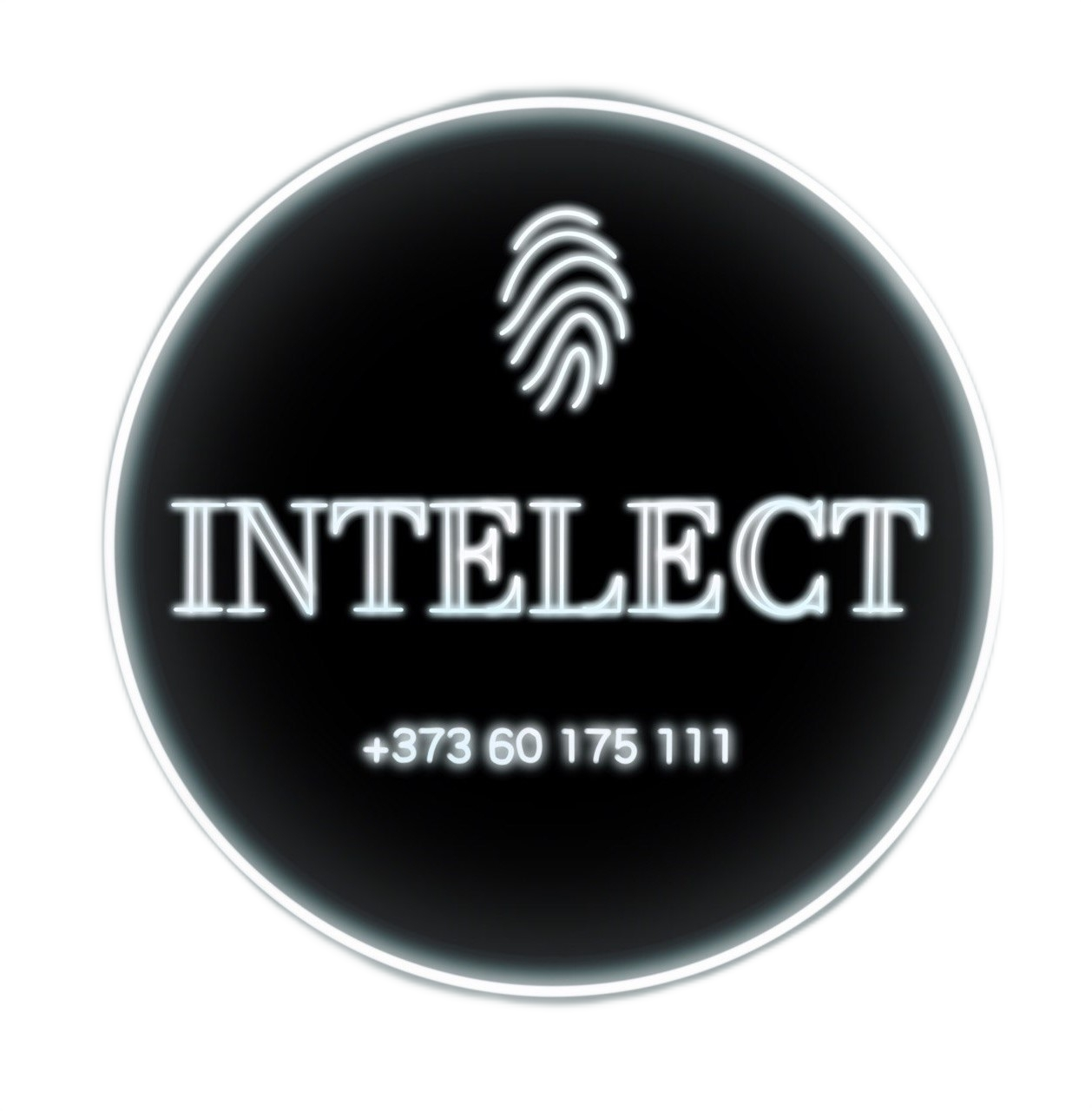  Intelect.md 