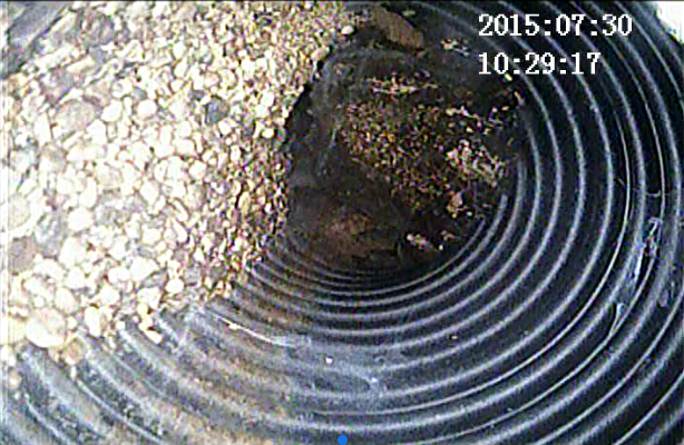 Hathorn Wifi Sewer Camera