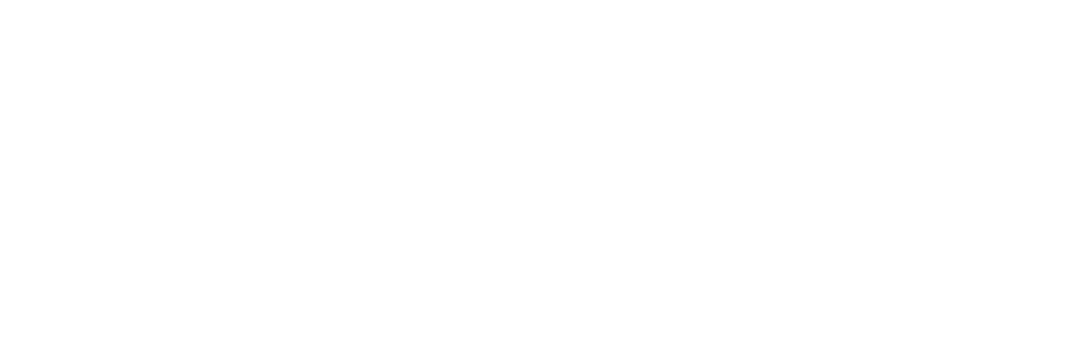 GSI Global Team