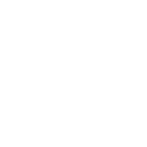 website icon