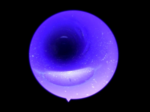 Endoscope Capture with USB Camera