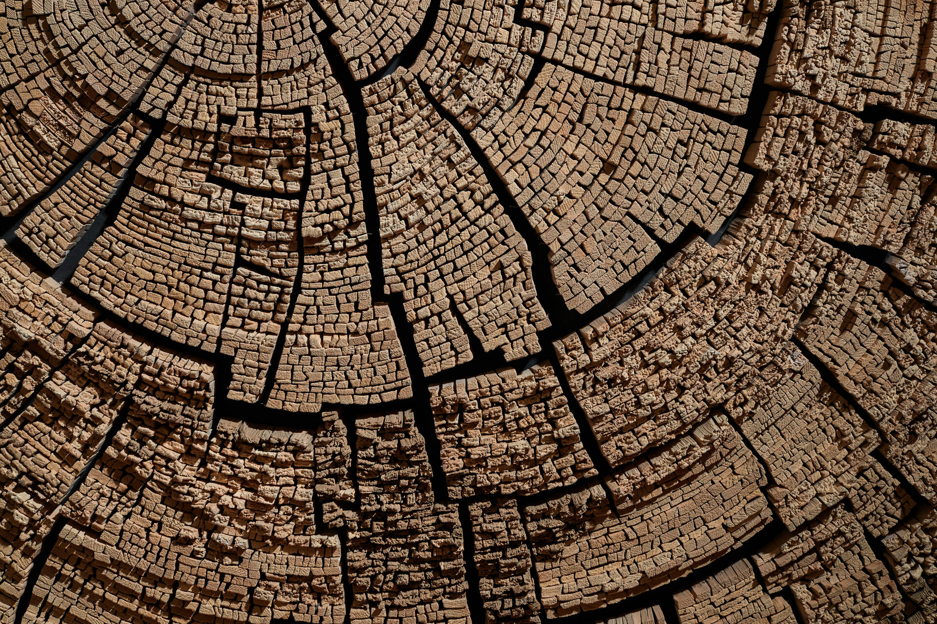 Affordable Art Depths of Antiquity by Tor Design