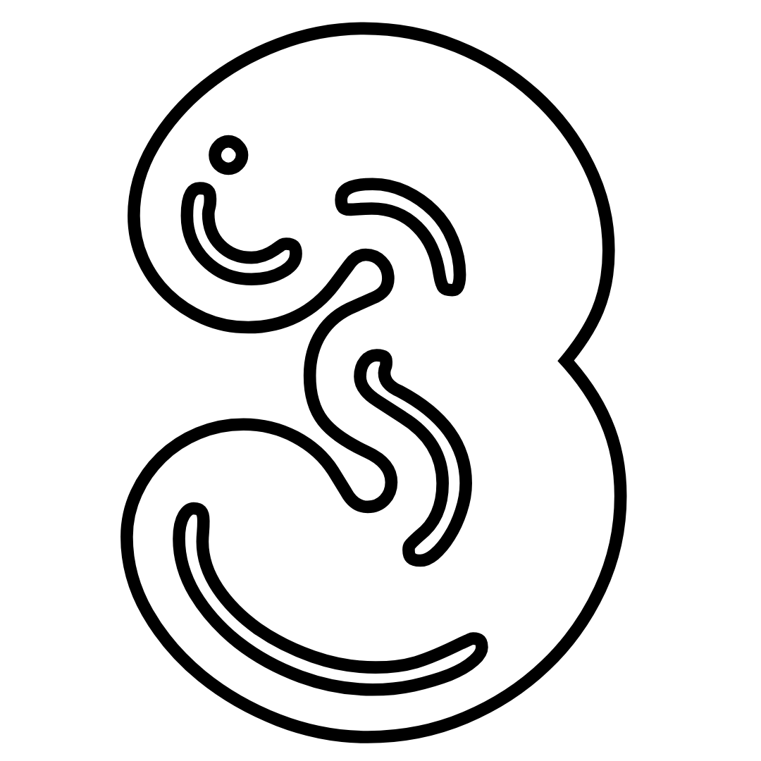 Стена для скалолазания в центре Rebel Climbing Phuket