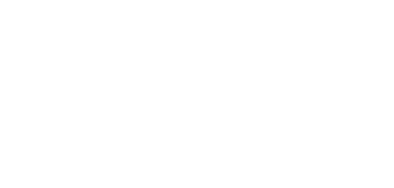 MORFINS TRAVEL &amp; Co.