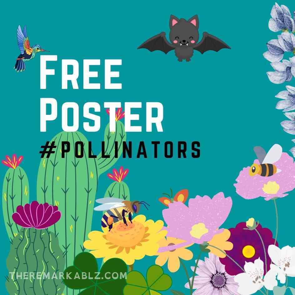 Free colouring pages 