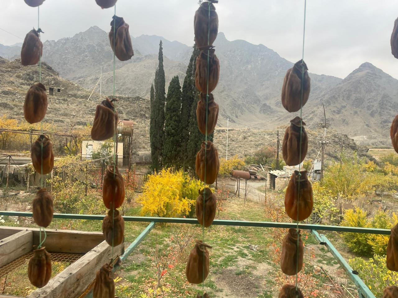 Անաստասիայի արխիվից