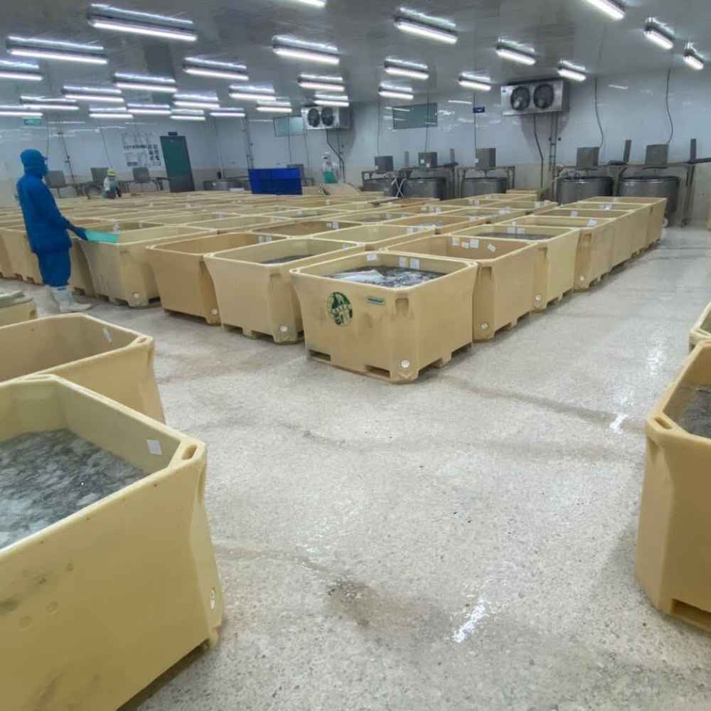 Shrimp factory
