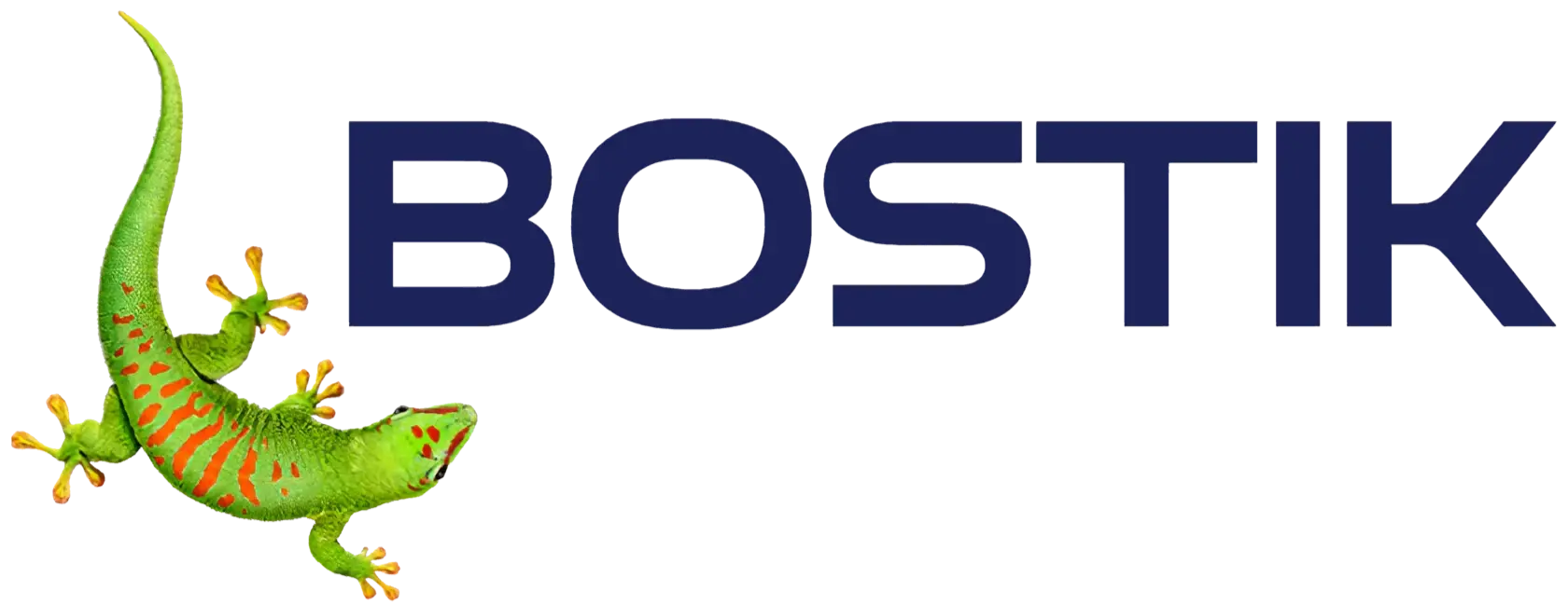 Bostik - Adezivi si etansanti materiale constructii