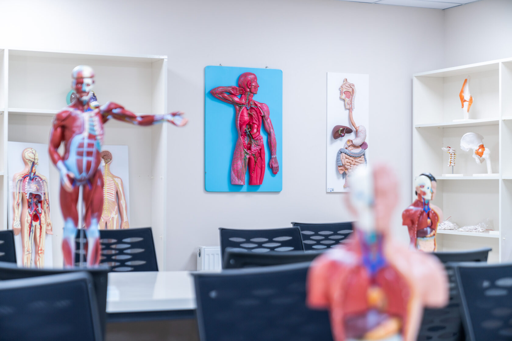 Clinical training facilities