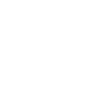 website icon