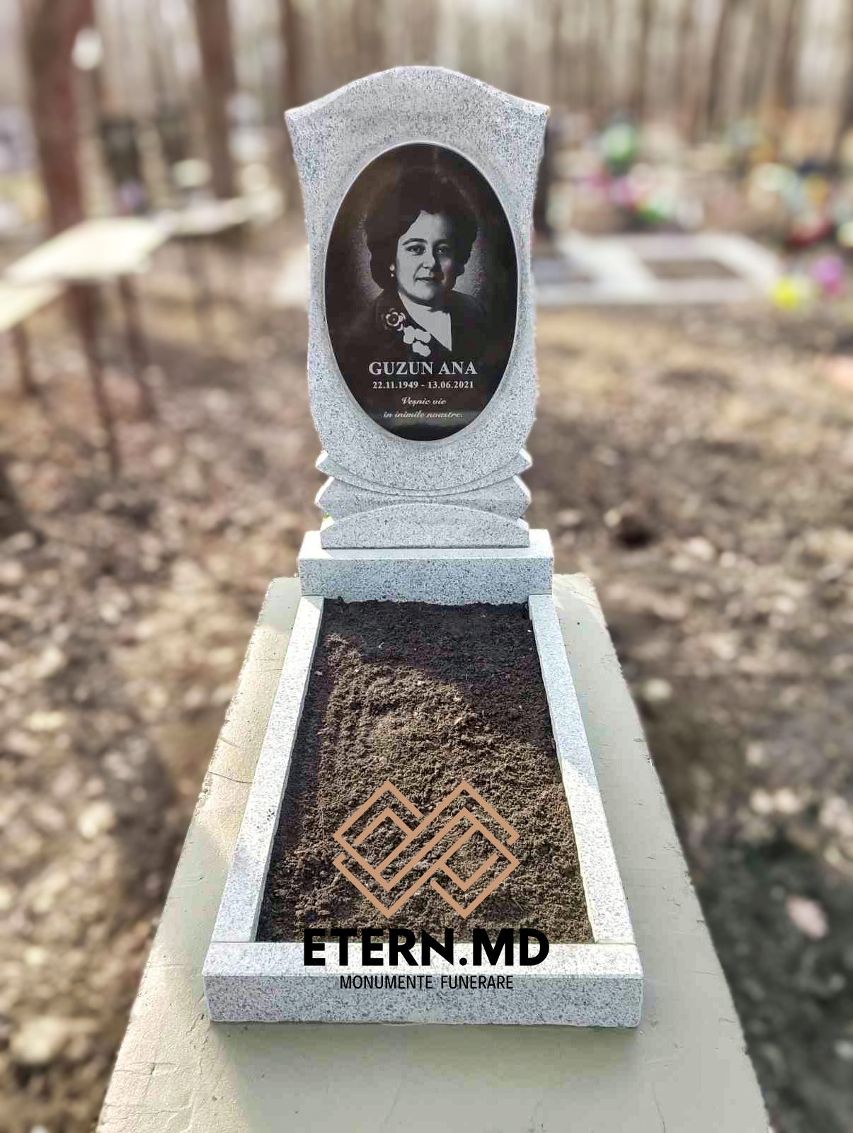 Monument din granit sur