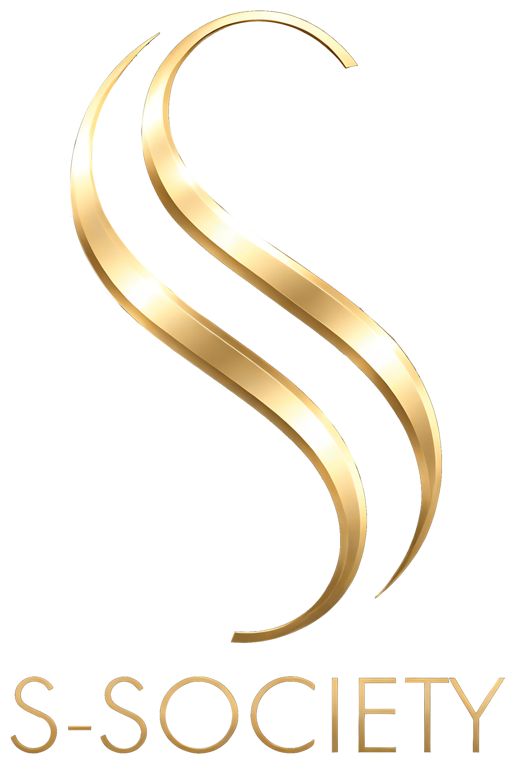 S-Society emblem
