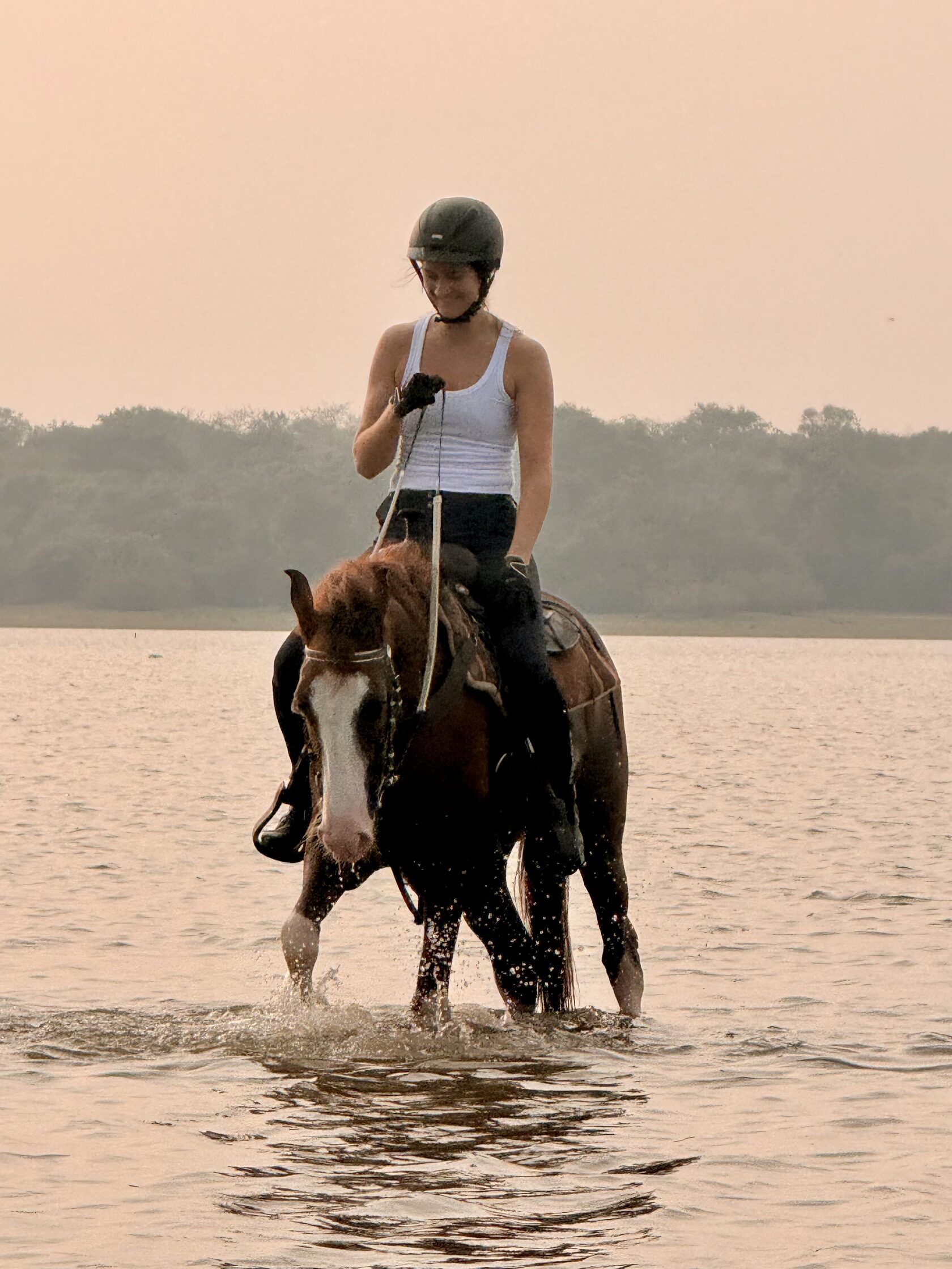 Still rider on horseback at Vonfidel Ranch in peaceful rural Sri Lanka