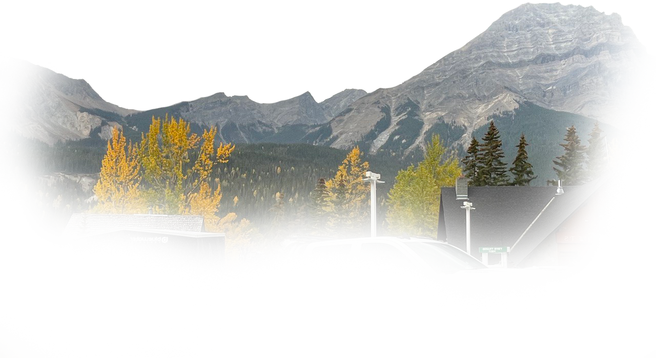 Roadside Assistance, Towing Services, Unlocks, Jump Start, Flat Tire, Fuel Delivery, Vehicle Lockout, Commercial Towing Services, Specialized Towing Services, Responsible Auto Recycling, Free Car Scrap Removal