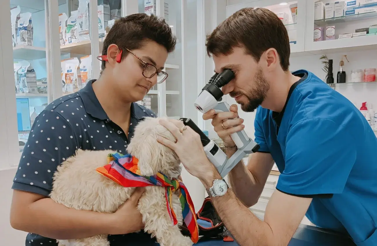 Veterinary ophthalmology