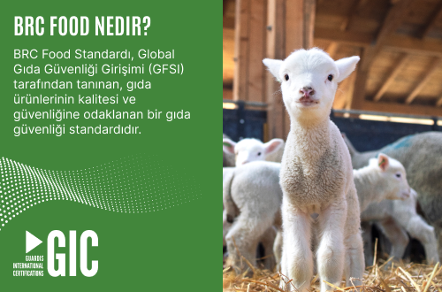 BRC Food Nedir?