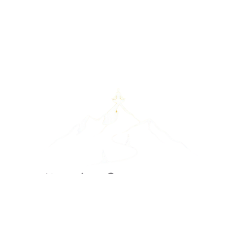 Company