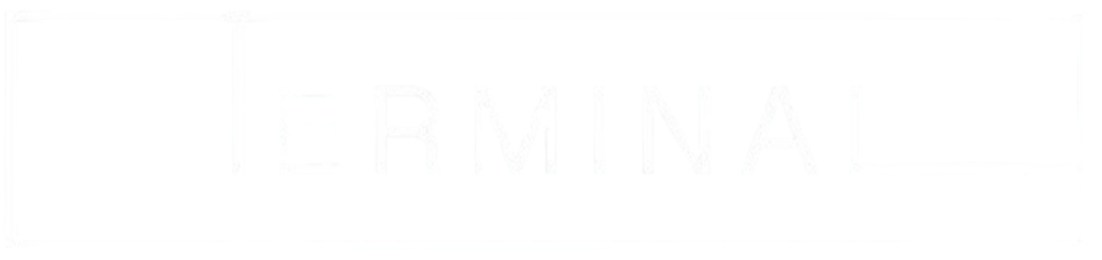 Terminal